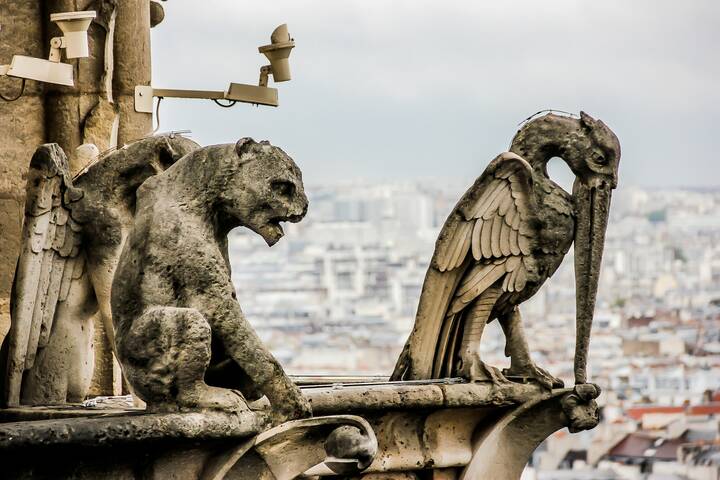 Wasserspeier Gargoyles Notre-Dame