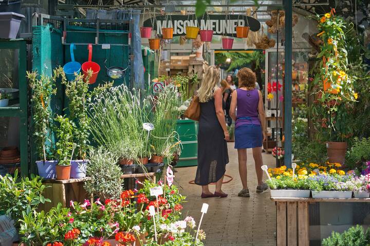 Blumenmarkt Ile de la Cité