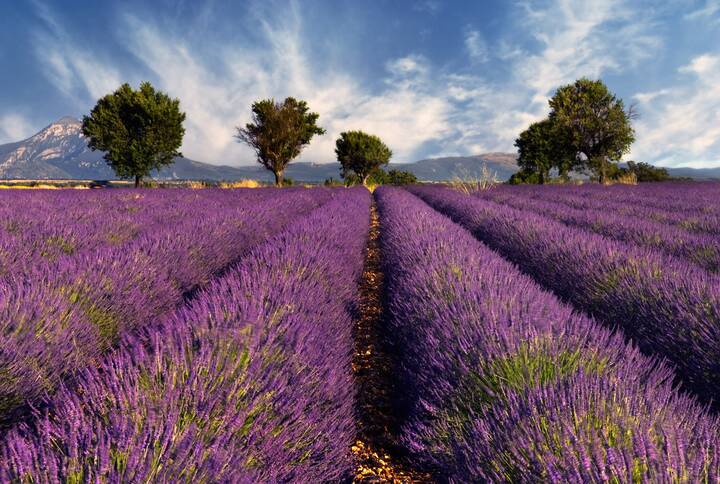 Provence Frankreich