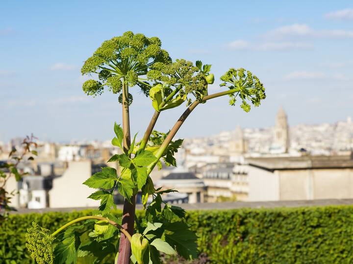 Quartier de Chaillot